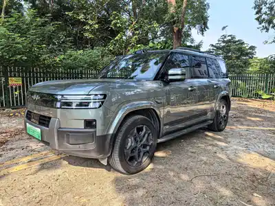 Fang Cheng Bao Titanium 7 2025