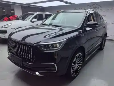 Leopaard Mattu 2019