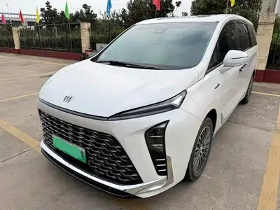 Buick GL8 New Energy 2024