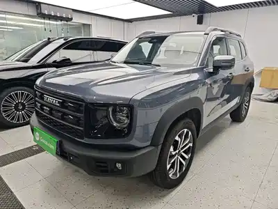 Haval Big Dog 2025
