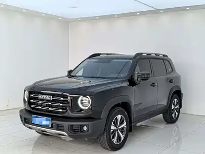 Haval Big Dog 2021