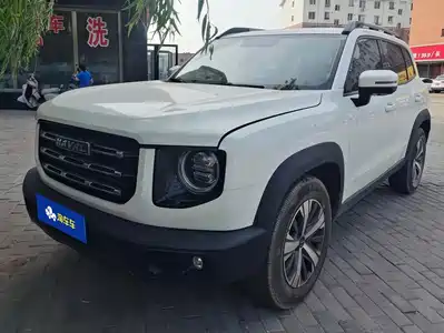 Haval Big Dog 2021