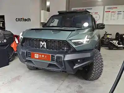 Mengshi 917 2024
