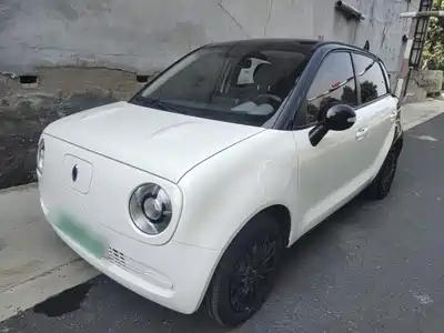 Ora Black Cat 2020