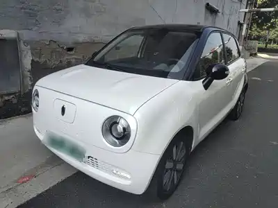 Ora Black Cat 2020