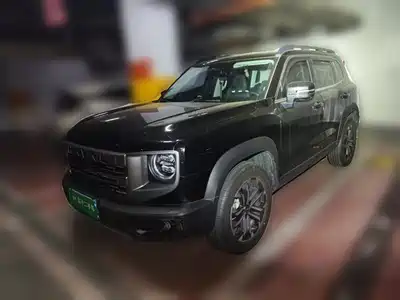 Haval Big Dog 2024