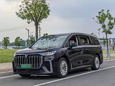 Voyah Auto Dreamer 2024