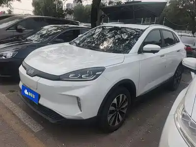 Weltmeister EX5 2019