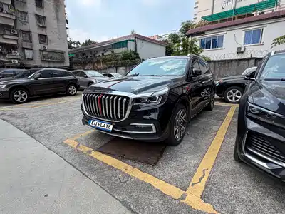 Hongqi HS7 2021