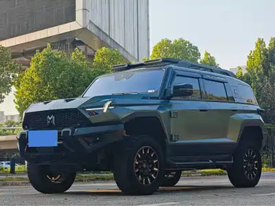 Mengshi 917 2024