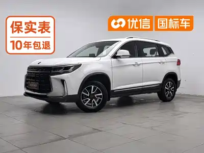 Dongfeng Fengxing T5 2024
