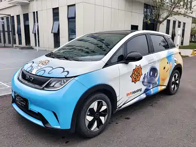 BYD Dolphin 2024