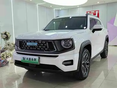 Haval Second-Generation Big Dog New Energy 2024