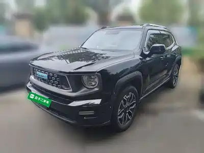 Haval Second-Generation Big Dog New Energy 2024
