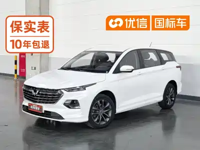 Wuling Motors Victory 2021