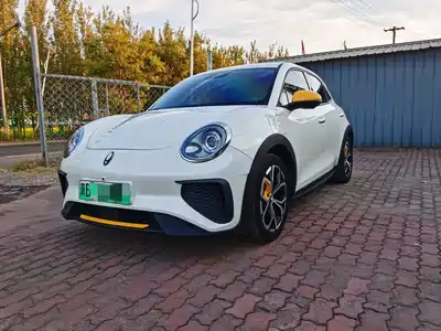 Ora Good Cat GT 2024