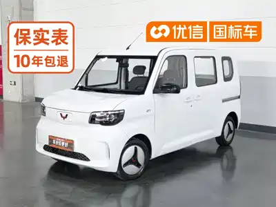 Wuling Motors Zhiguang NEV 2025