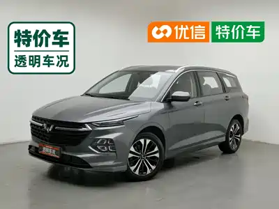 Wuling Motors Victory 2021