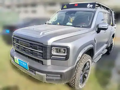 Haval Meng Long NEV 2025
