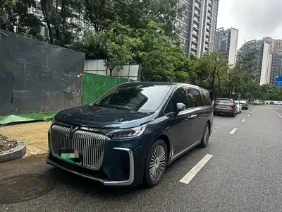 Voyah Auto Dreamer 2025
