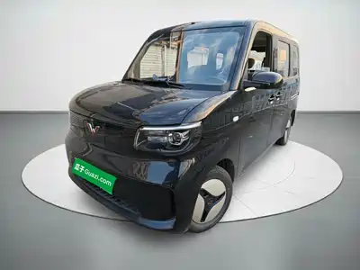 Wuling Motors Zhiguang NEV 2025