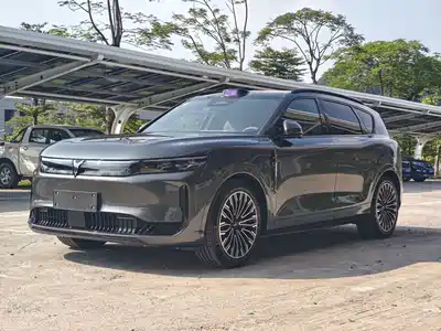 Voyah Auto FREE 2025