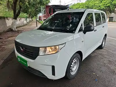 Wuling Motors Hongguang PLUS 2022
