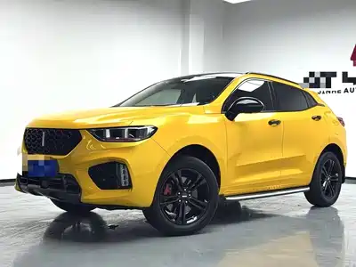 WEY VV5 2019