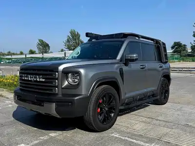 Haval Meng Long NEV 2025