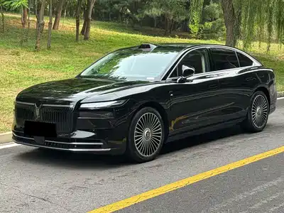 Voyah Auto Zhuiguang L 2025