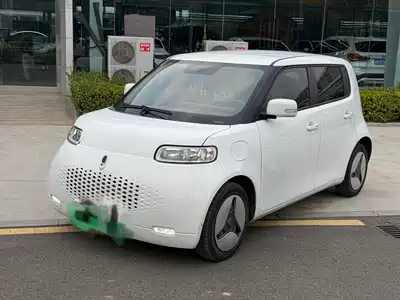 Ora White Cat 2020