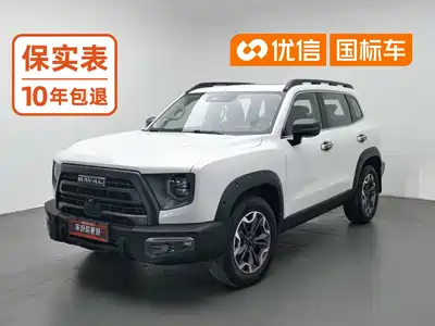 Haval Big Dog 2024