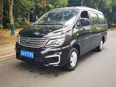 Dongfeng Fengxing Lingzhi 2022