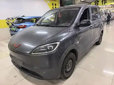 Wuling Motors Hongguang New Energy 2025