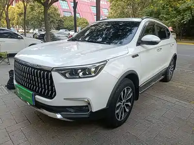 Leopaard Mattu 2020