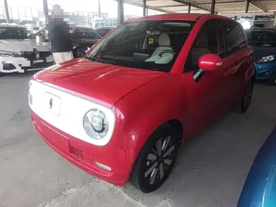 Ora Black Cat 2020