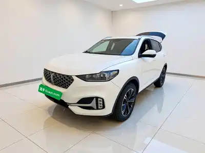 WEY VV6 2020