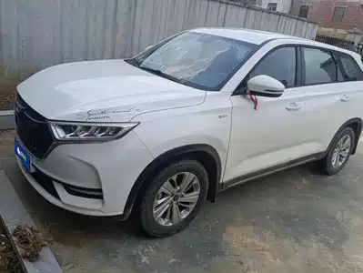 Changan Oshan X7 2021