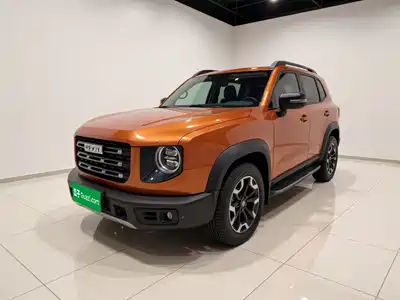 Haval Big Dog 2021