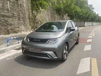 BYD Dolphin 2024