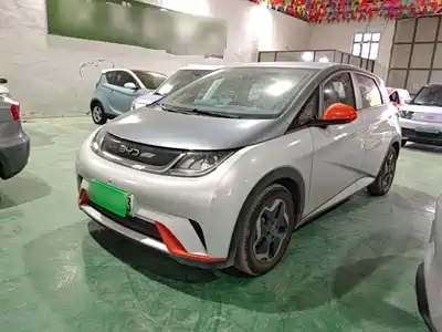 BYD Dolphin 2022