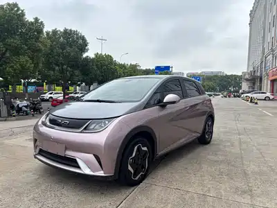 BYD Dolphin 2022