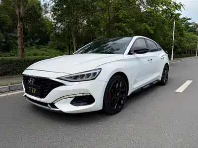 Hyundai Fista 2021