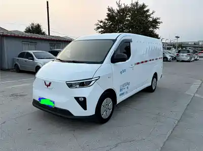 Wuling Motors Yangguang 2024