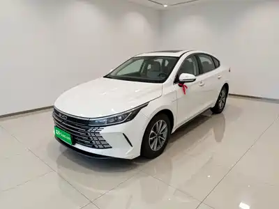 BYD Destroyer 05 2024