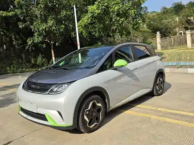 BYD Dolphin 2022