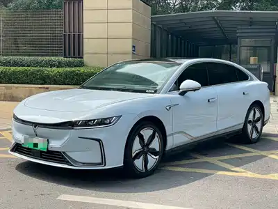 Voyah Auto Zhuiguang 2024