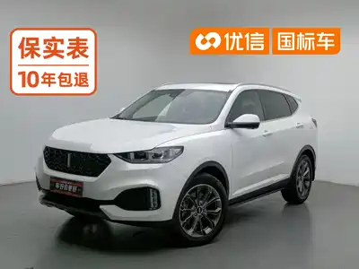 WEY VV6 2019