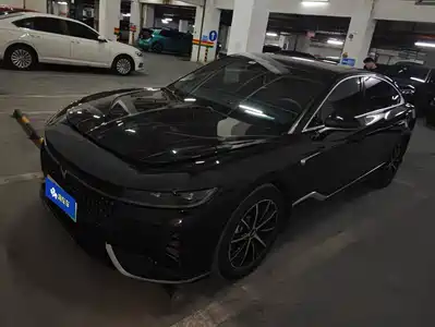Voyah Auto Zhuiguang 2024