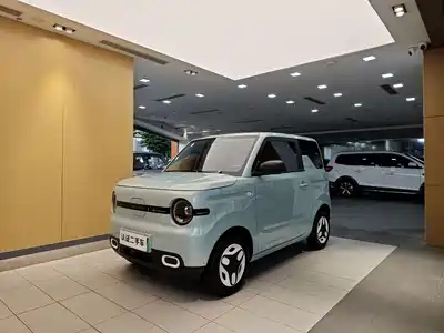 Geely Galaxy Panda 2026